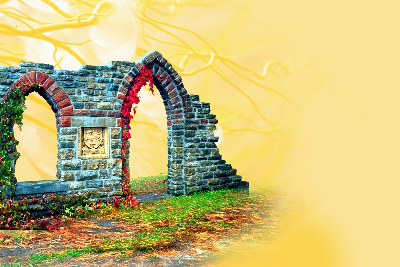 27 Wedding PSD Karizma Background Design Free Download