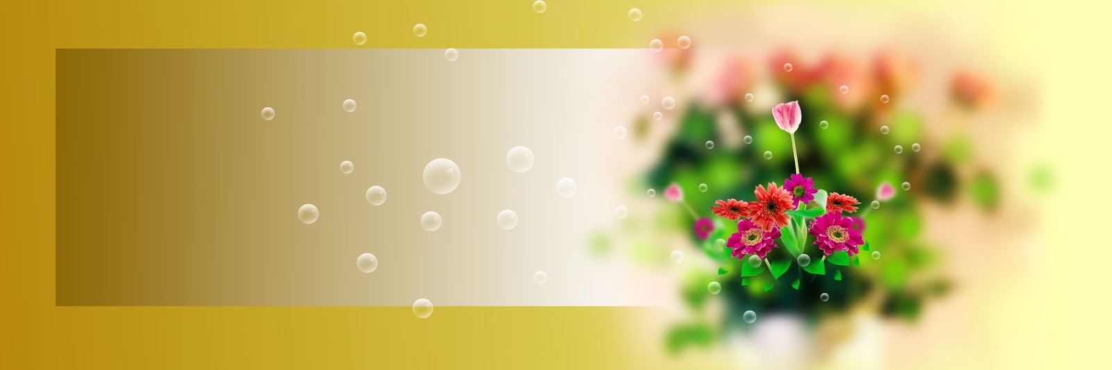 8x24 Glorious Designing