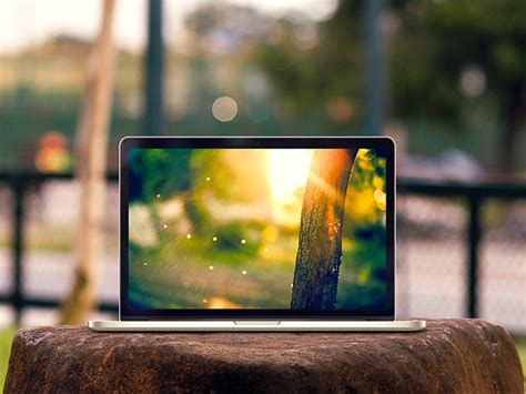 Website Display Mockup